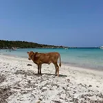 Superbe T2 Avec Grande Terrasse Et Vue Isola Celeste