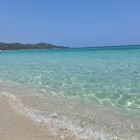 Superbe T2 Avec Grande Terrasse Et Vue Isola Celeste 아파트 LʼÎle-Rousse