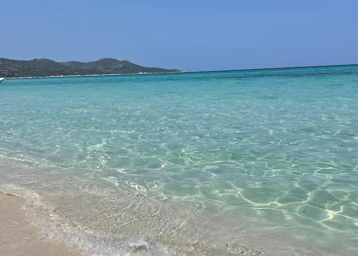 Superbe T2 Avec Grande Terrasse Et Vue Isola Celeste