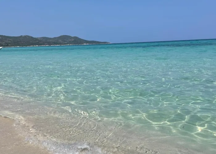 Superbe T2 Avec Grande Terrasse Et Vue Isola Celeste Διαμέρισμα LʼÎle-Rousse